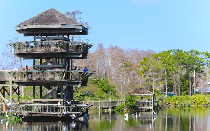 Observation tower at Gatorland with zip line access over a scenic wetland in Florida.