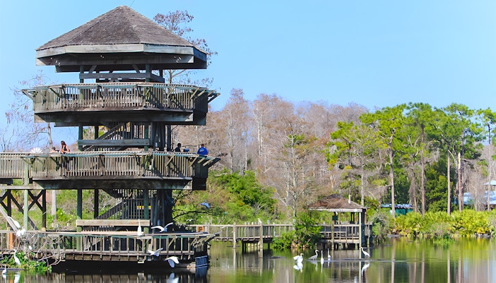 Gatorland Rules and Regulations