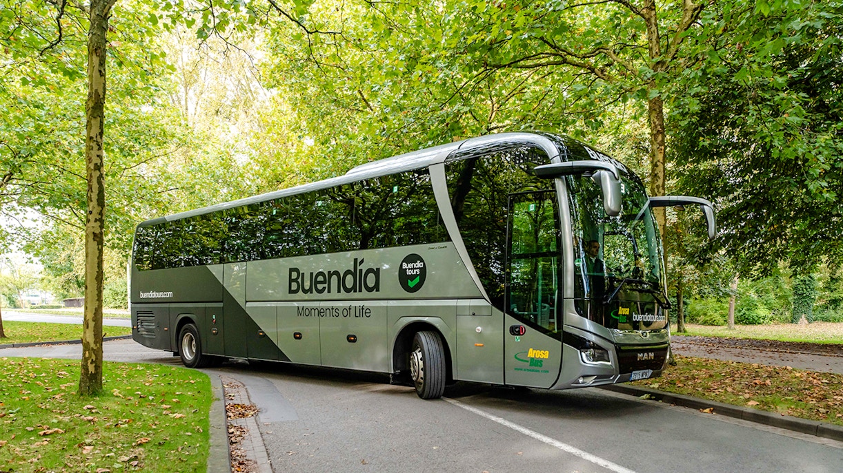 Coach for Antwerp and Ghent full-day guided tour parked on a tree-lined road.