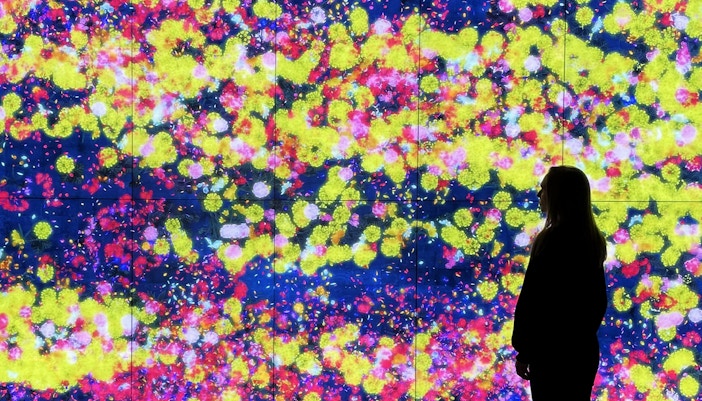 Moco Museum Barcelona Timings