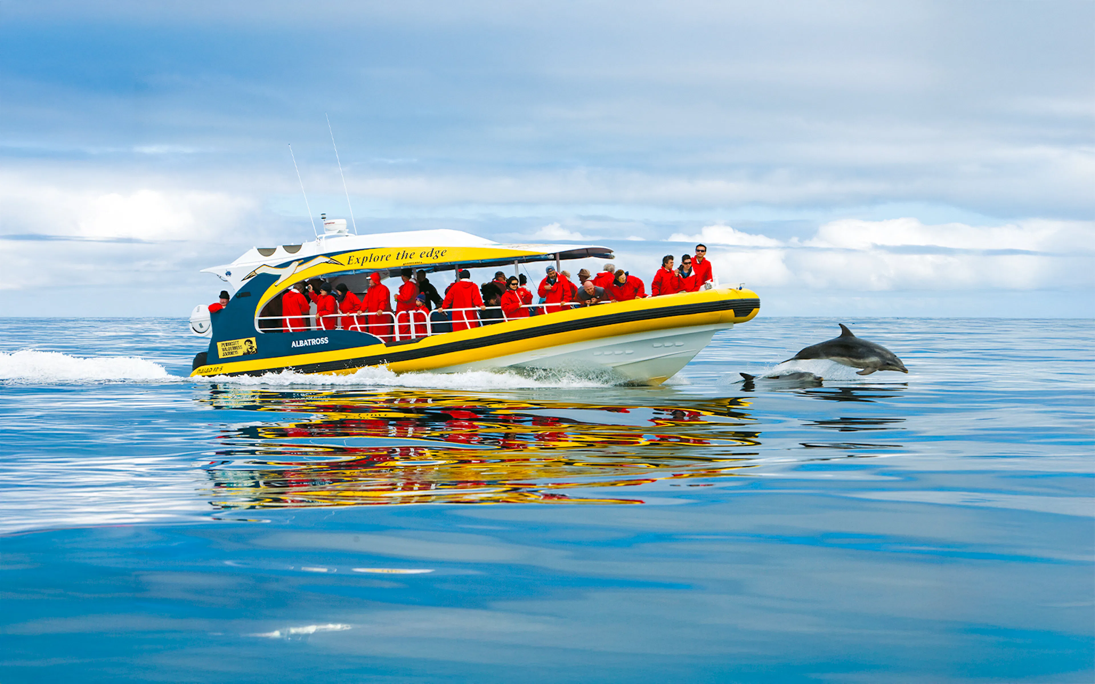 Bruny Island Wilderness Cruise boat navigating rugged coastline with cliffs and sea caves.