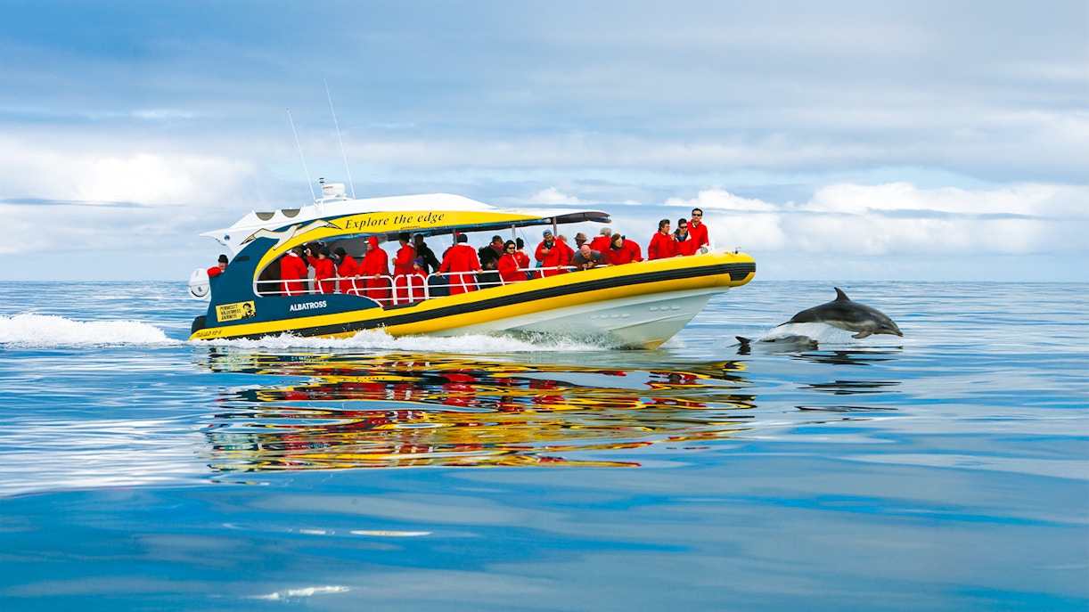 Bruny Island Wilderness Cruise boat navigating rugged coastline with cliffs and sea caves.
