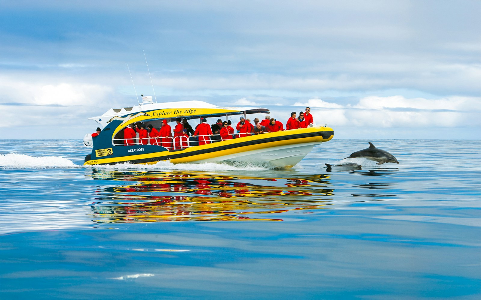 Bruny Island Wilderness Cruise boat navigating rugged coastline with cliffs and sea caves.