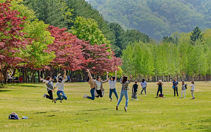Tourists enjoying colorful foliage in Nami Island, South Korea.