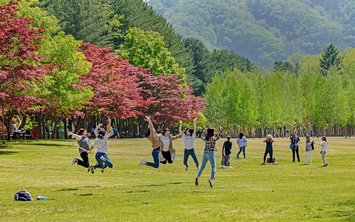 Tourists enjoying colorful foliage in Nami Island, South Korea.