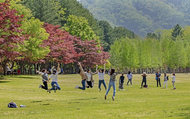 Tourists enjoying colorful foliage in Nami Island, South Korea.