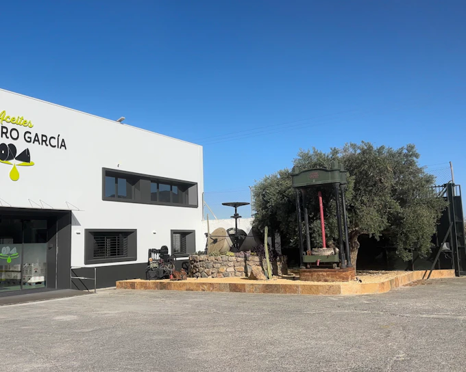 From Granada: Olive Oil Mill Excursion in the Lecrín Valley