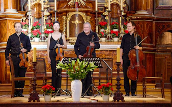 Musicians with string instruments at Minoritenkirche concert in Vienna.