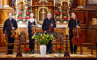 Musicians with string instruments at Minoritenkirche concert in Vienna.
