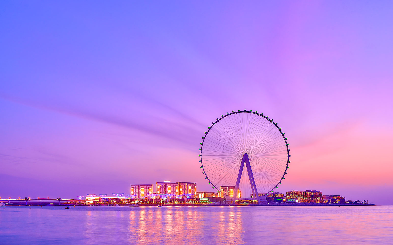 Ain Dubai Ferris wheel at sunset with cityscape in the background.