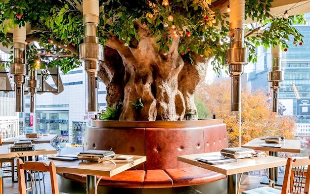 Yakiniku dining tables with grills at Ushihachi Shibuya, featuring a large tree centerpiece.