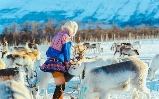 au départ de tromsø : visite de l'élevage de rennes et de la culture sami avec déjeuner-4