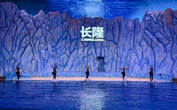 Chimelong Ocean Kingdom 1-Day Tickets