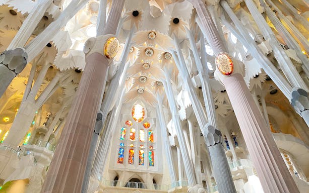 Interior view of Sagrada Familia's columns and stained glass windows during guided tour.