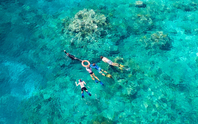 Snorkelers exploring coral reefs in the Outer Great Barrier Reef near Cairns.