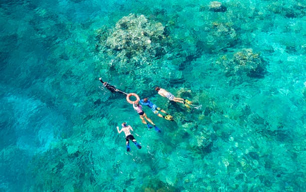 Snorkelers exploring coral reefs in the Outer Great Barrier Reef near Cairns.