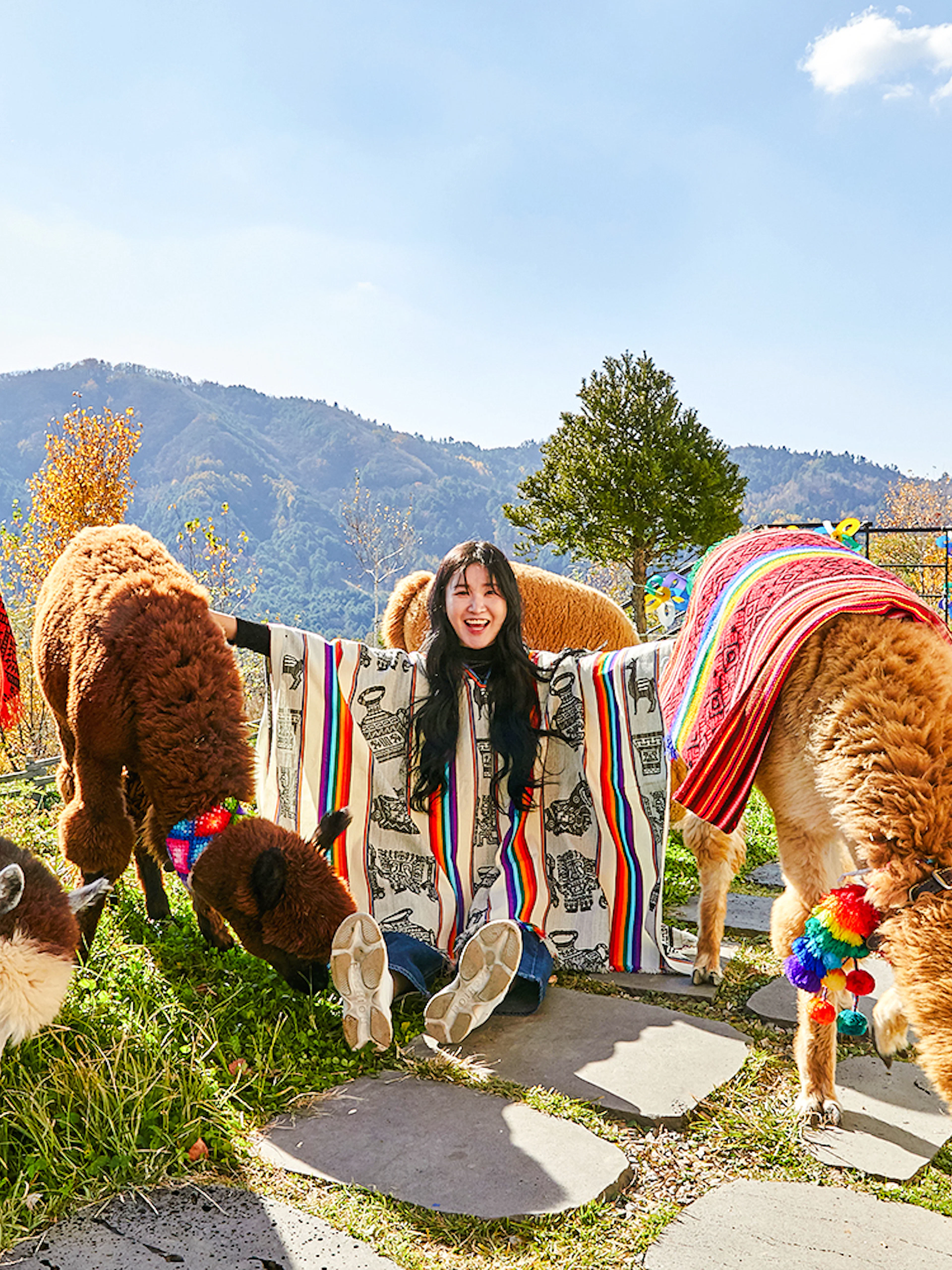 Girl sitting with alpacas in colorful blankets on a mountain path.