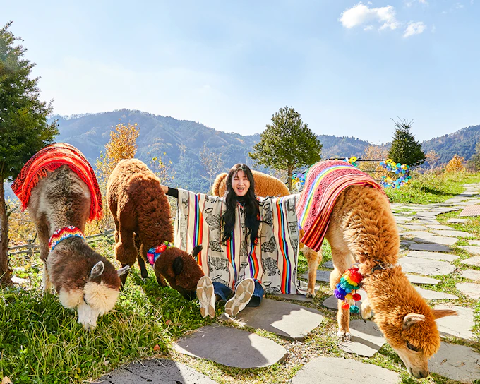 Nami Island Wildlife Exploration Day Tour with Alpaca World