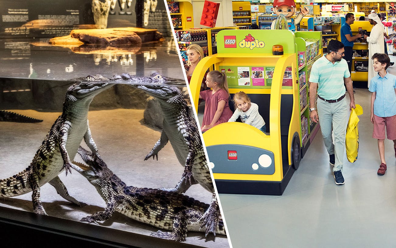 Crocodiles in an aquarium and children playing in a LEGO store.