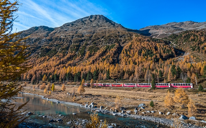 Bernina Express train passing through Swiss Alps with autumn trees and mountain backdrop.