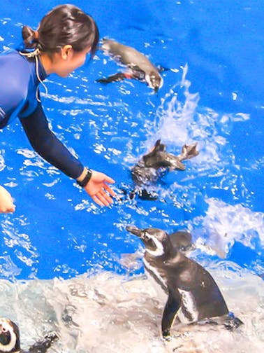 Sumida Aquarium