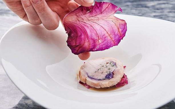 Wagyu beef dish with purple cabbage garnish on a white plate.
