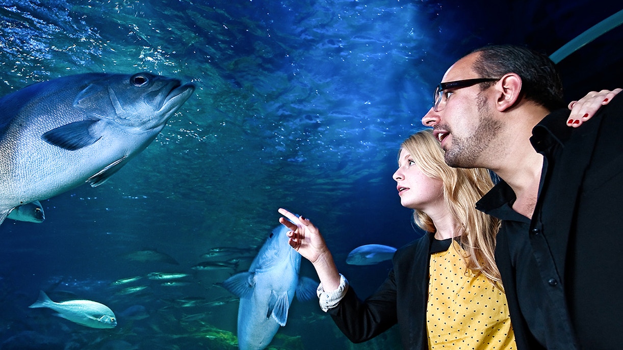 SEA LIFE Munich