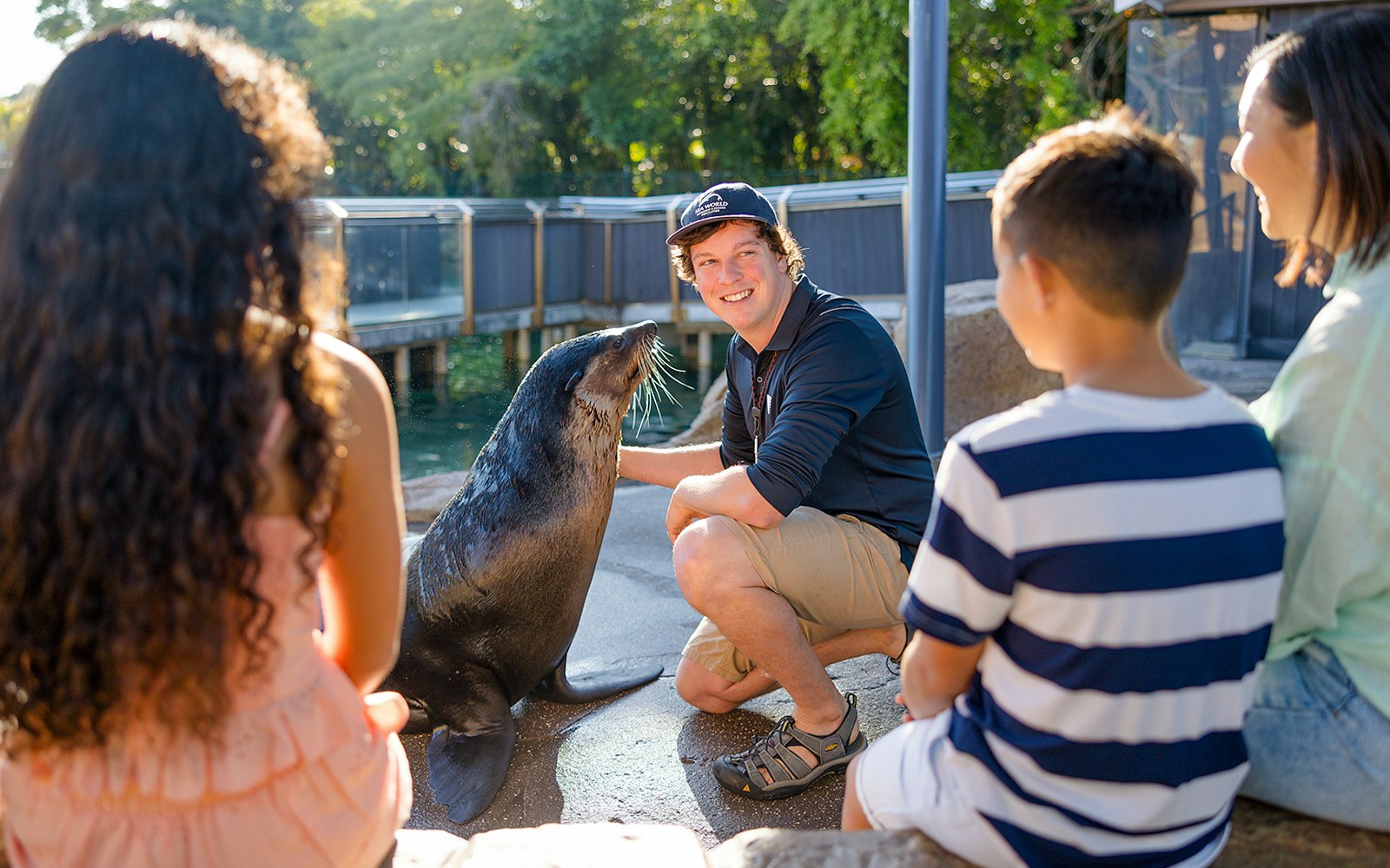 A family watching a Seal at Sea World, Gold Coast