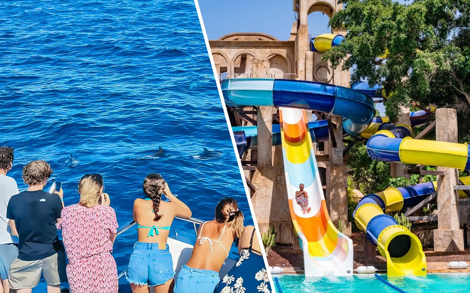 Combo: Gran Canaria Dolphin & Whale Watching Cruise with Glass Bottom and Aqualand Maspalomas Day Pass