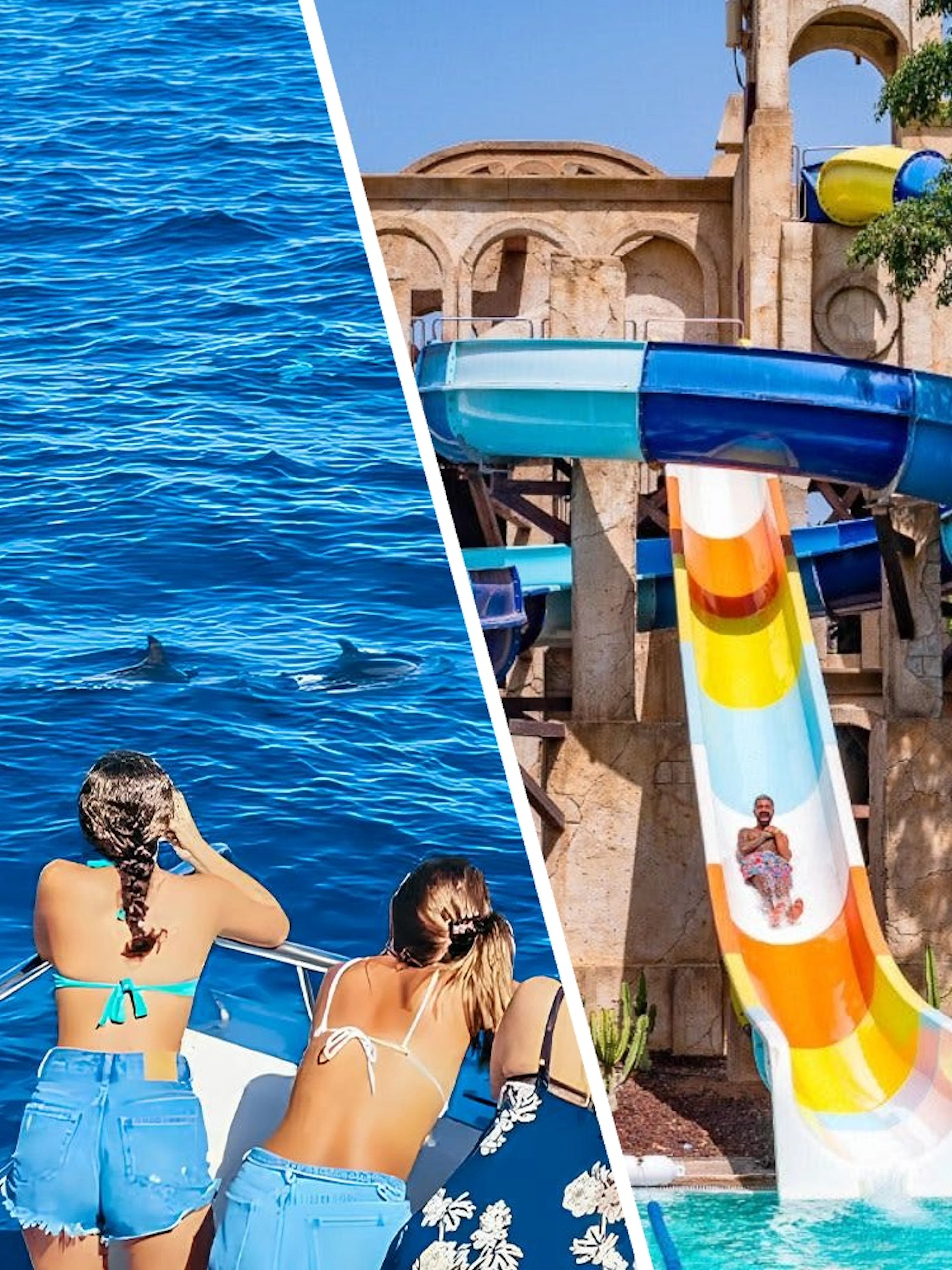 Tourists on a Gran Canaria cruise boat watching dolphins in the ocean.