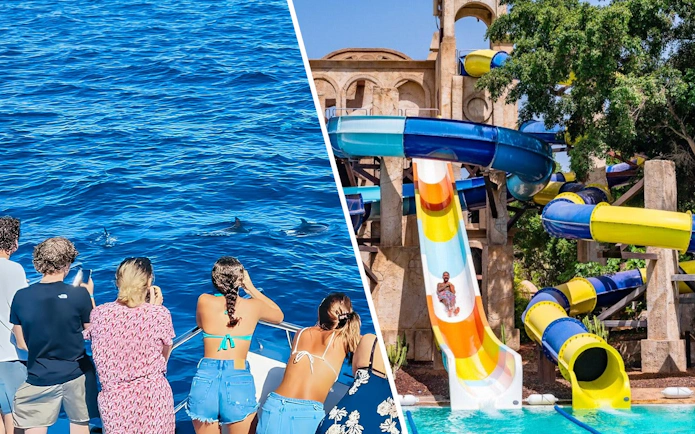 Tourists on a Gran Canaria cruise boat watching dolphins in the ocean.