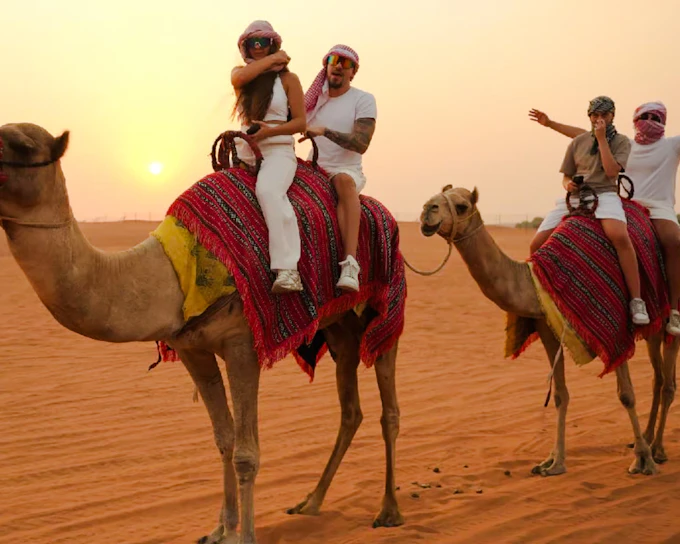 Dubai Red Dunes Desert Safari with BBQ Dinner Camel Ride and Live Shows