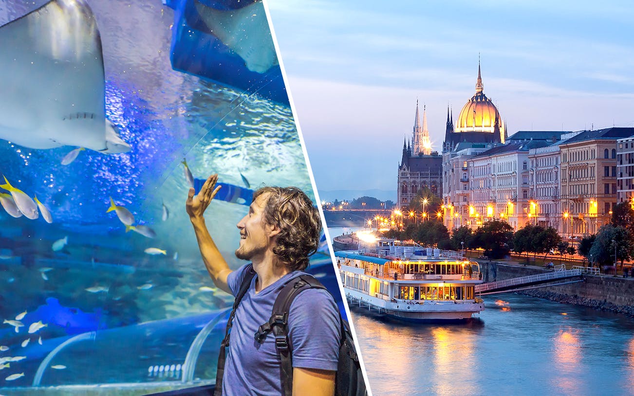 Man enjoying Budapest Tropicarium aquarium and Danube River cruise with city view.