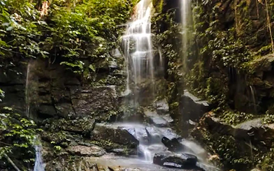 Waterfall surrounded by lush greenery in Tijuca Forest, Rio de Janeiro.