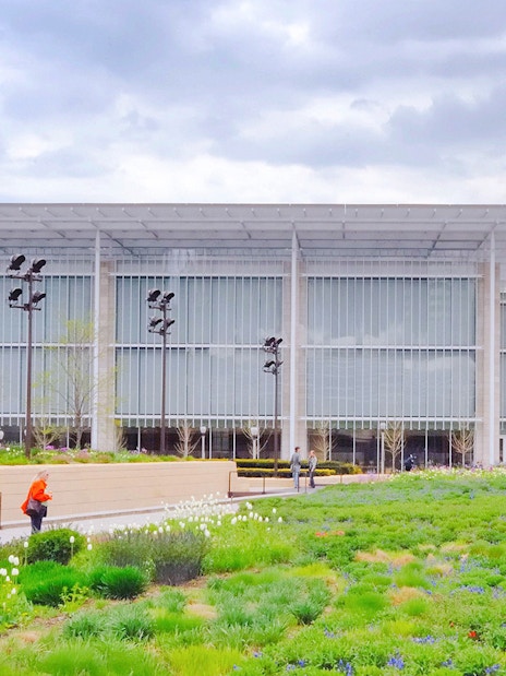 Modern wing of the Art Institute of Chicago with garden in foreground.