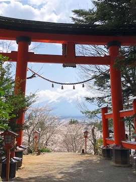 Torii gate framing Mount Fuji view at Arakurayama Sengen Park, Japan.