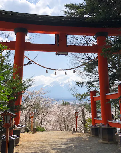 Torii gate framing Mount Fuji view at Arakurayama Sengen Park, Japan.