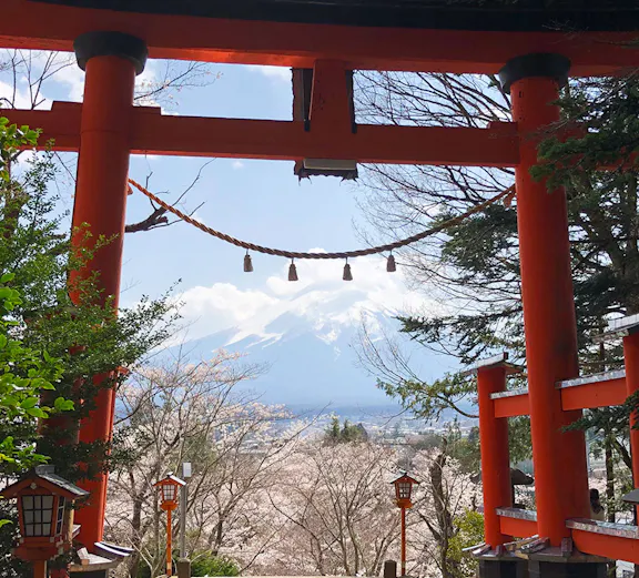 Torii gate framing Mount Fuji view at Arakurayama Sengen Park, Japan.