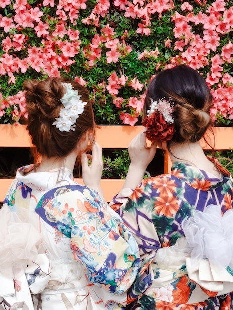 Women in colorful kimonos standing by a pink flowered fence in Japan.