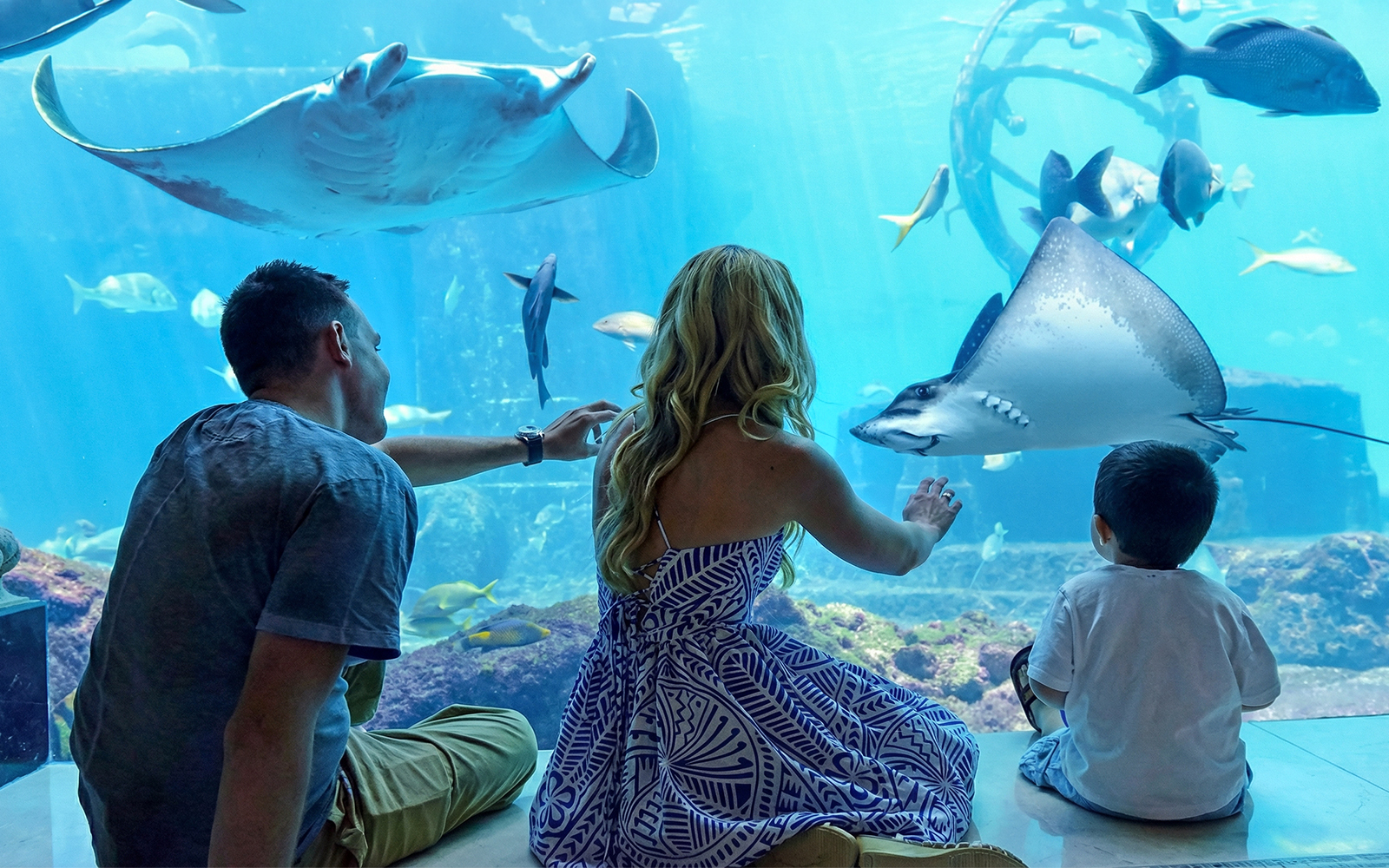 Family observing marine life at Atlantis Aquaventure aquarium, Nassau, Bahamas.