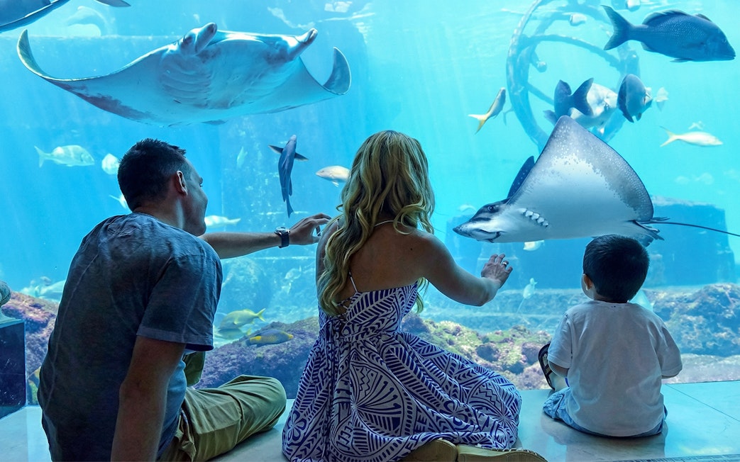 Family observing marine life at Atlantis Aquaventure aquarium, Nassau, Bahamas.