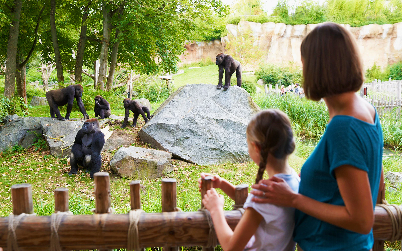 Gorillas in an enclosure at Zoo Leipzig viewed by visitors.