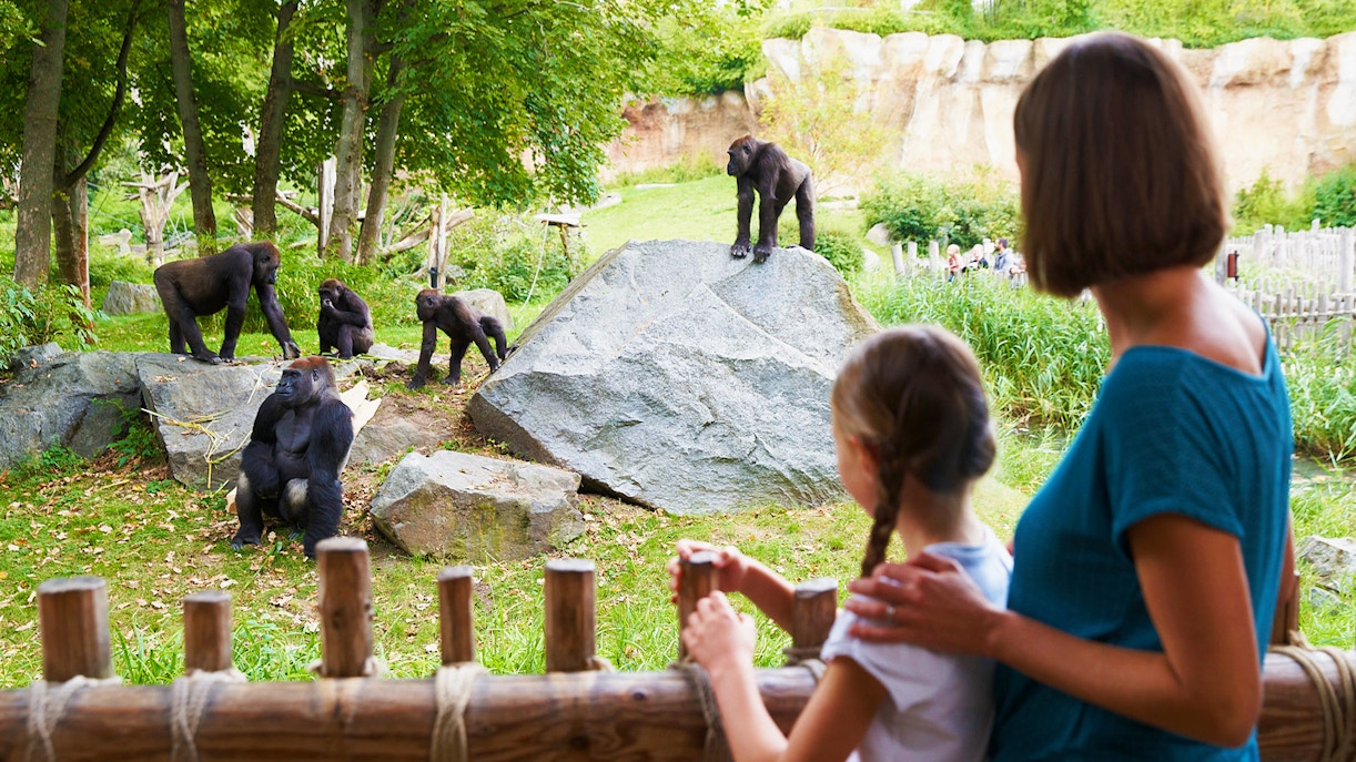 Family enjoying their visit with Tickets to Zoo Leipzig, viewing exotic animals in a lush, green habitat