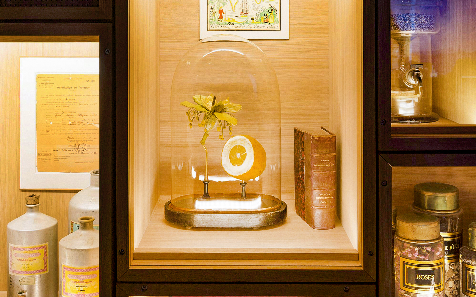 Fragonard Perfume Museum display with citrus and flower under glass dome.