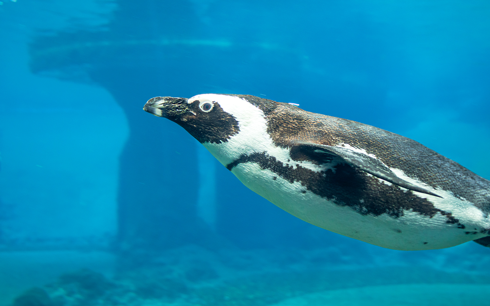 Wroclaw Zoo highlights