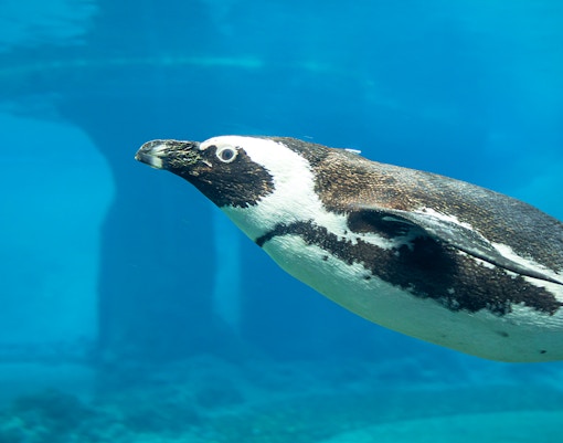 Wroclaw Zoo highlights