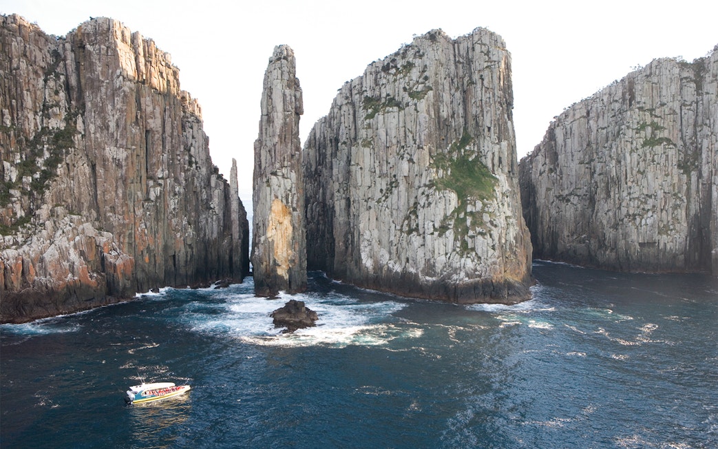 Cruise boat near towering cliffs on Tasman Island, part of a full-day tour from Hobart.