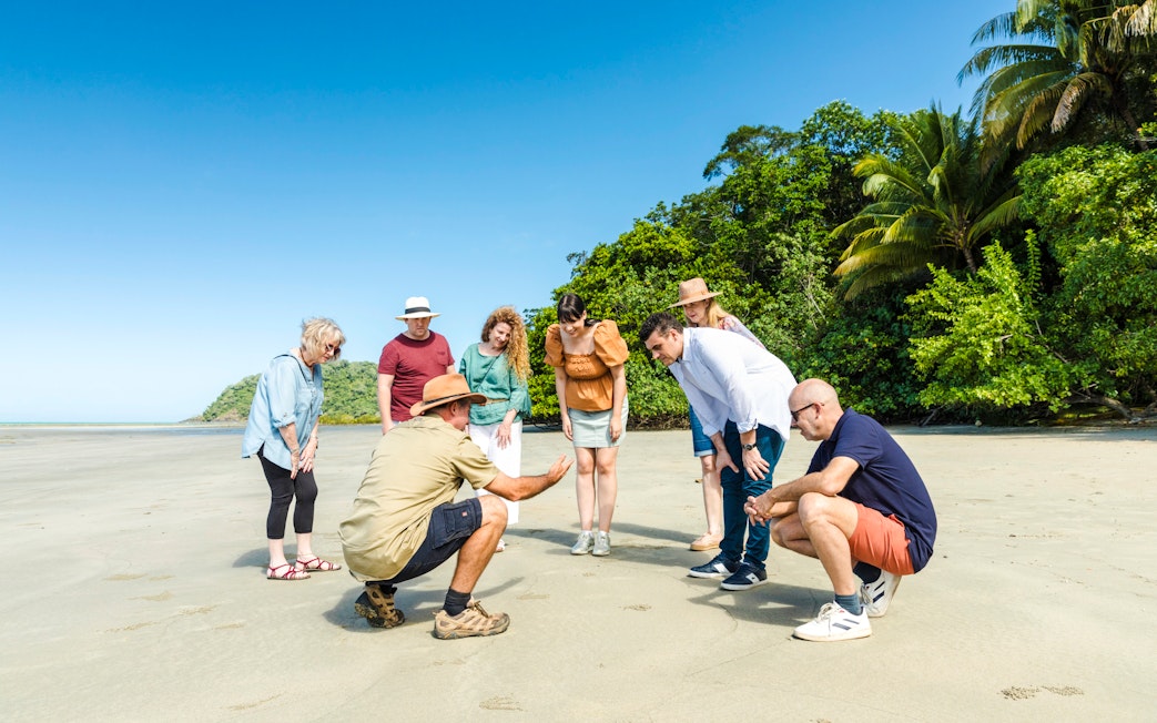 Group exploring beach with guide at Daintree & Cape Tribulation, Billy Tea Safaris tour.