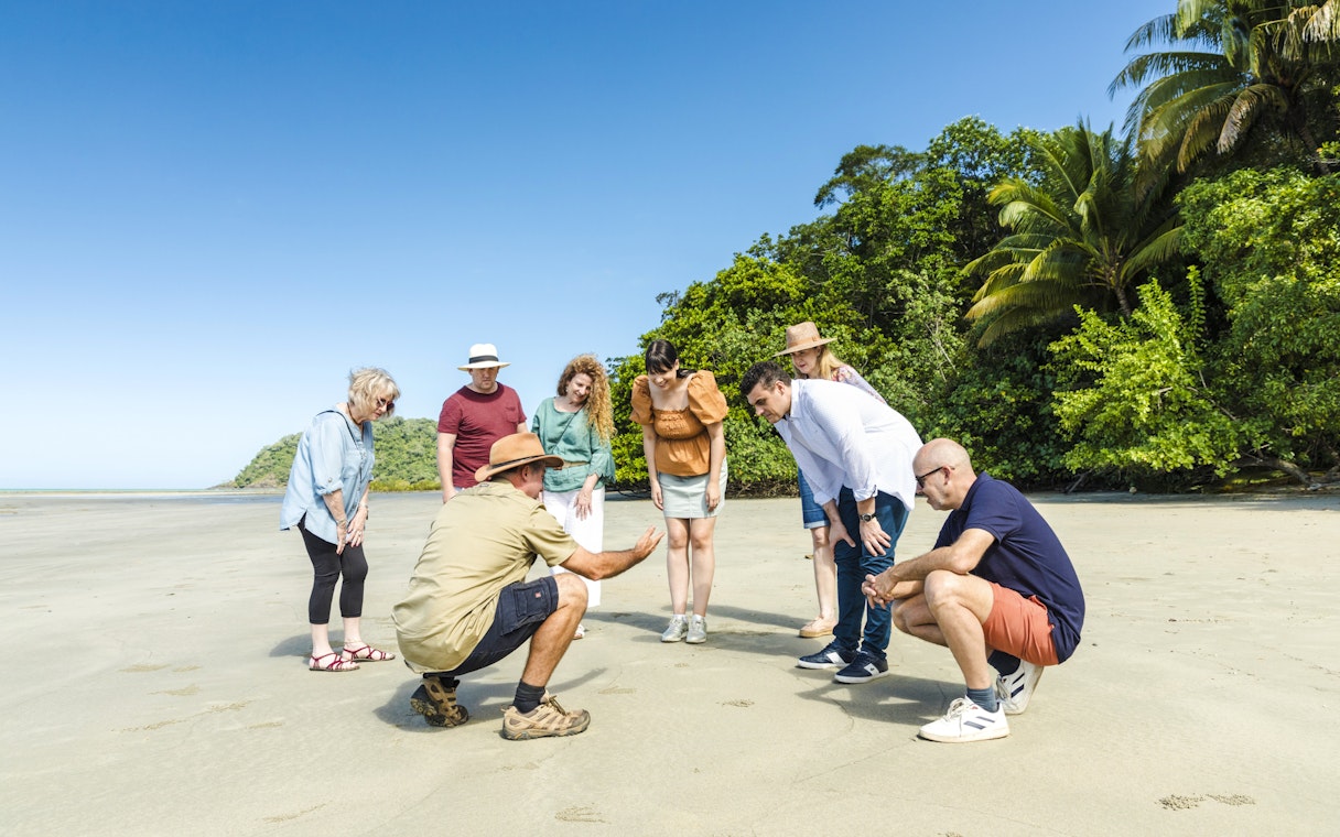 Group exploring beach with guide at Daintree & Cape Tribulation, Billy Tea Safaris tour.