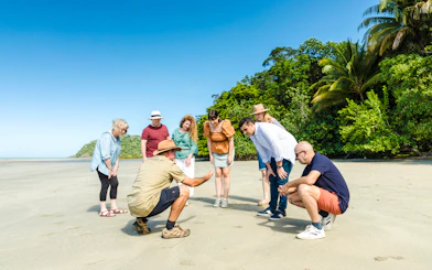 Group exploring beach with guide at Daintree & Cape Tribulation, Billy Tea Safaris tour.